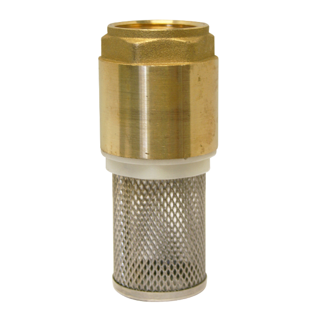 spring check valve