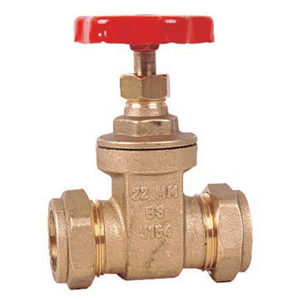 Brass Y-type Check Valve - Leengate Valves