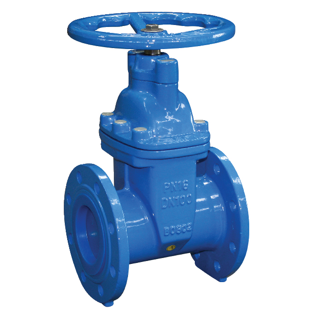 Image result for gate valve