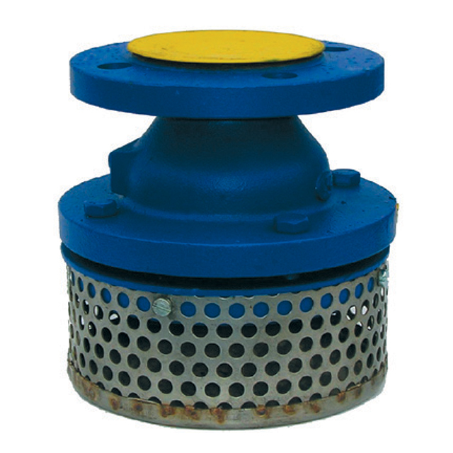 Foot valve shop with strainer