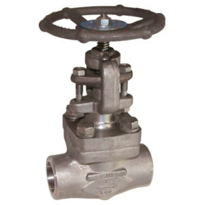 Forged Stainless Steel Gate Valve - Screwed BSPT