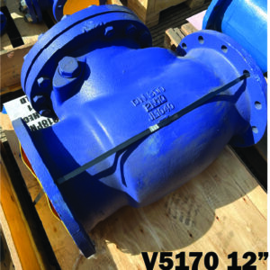 Cast Iron Swing Check Valve - Clearance