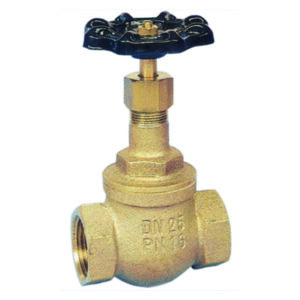 Bronze SDNR Globe Valve - Screwed BSP - Clearance