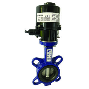 Wafer Pattern Ductile Iron Butterfly Valve with Flowinn Electric Actuator